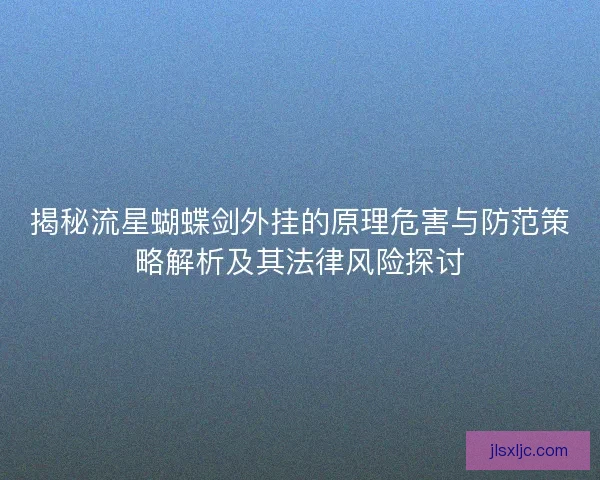 揭秘流星蝴蝶剑外挂的原理危害与防范策略解析及其法律风险探讨